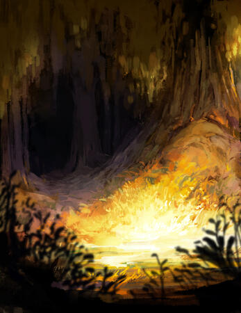 Forest Light