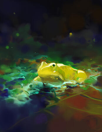 Frog